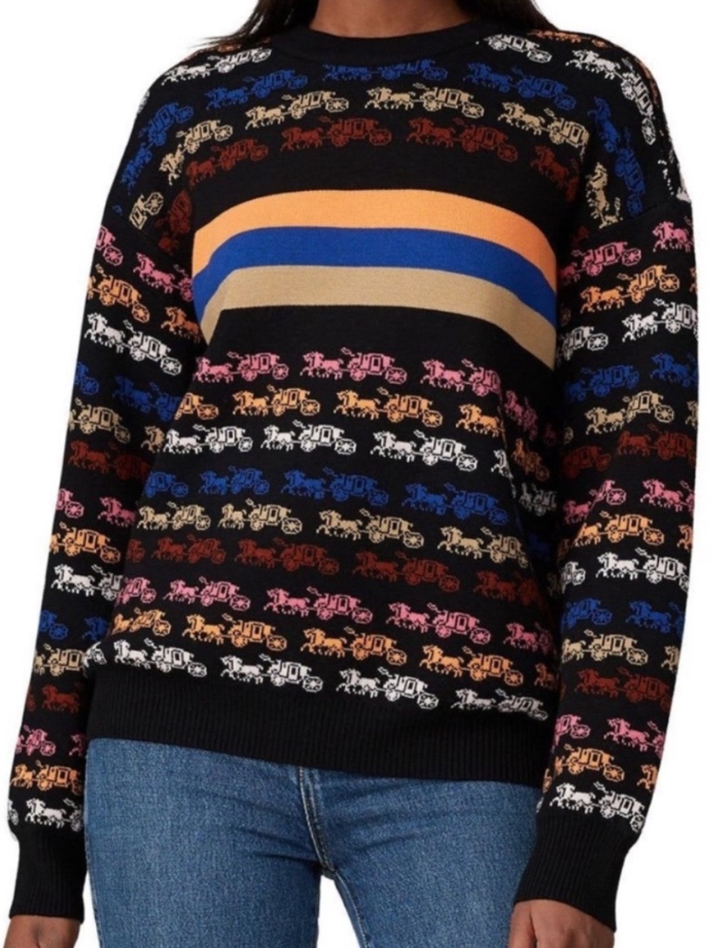 Coach Rainbow Horse and Carriage Crewneck Wool Sweater